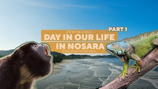 Exploring Nosara Costa Rica  A day in our life Part 1  surfing monkeys and more Ep18 [upl. by Larcher]