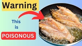 The Scary Truth About DeepFrying Oils What You Need to Know [upl. by Thilda]