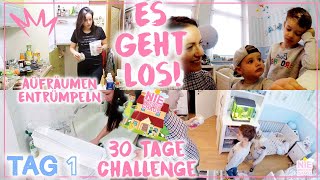 30 Tage MARIE KONDO Challenge • Extrem Entrümpeln • Tag 1• Kühlschrank • VLOG •Maria Castielle [upl. by Vinna736]