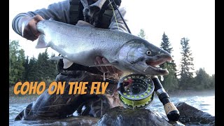 My first Coho on the fly Fly fishing the Bulkley river [upl. by Naniac]