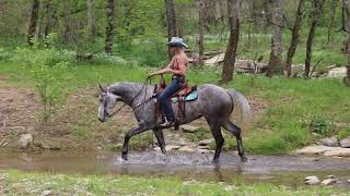 AQHA DAPPLE GRAY MARE SUPER PRETTY WELL BROKE PROFESSIONAL TRAINING RANCH ROPE [upl. by Arikahc]