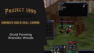 Everquest P99  Druid Farming Shrunken Goblin Skull Earring [upl. by Arratoon87]