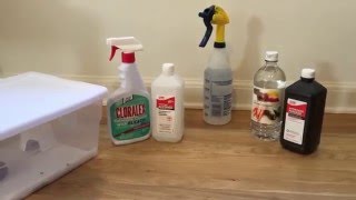 Leopard Gecko Tank Easy Cleaning [upl. by Derf745]