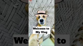 Pluto The First Mini Vlog 🤣 [upl. by Dwyer]