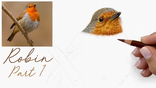 Christmas Drawing Tutorial  Robin Part 1 [upl. by Giule]