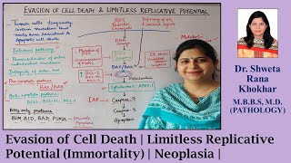 Evasion of Cell Death  Limitless Replicative Potential Immortality  Neoplasia [upl. by Marlee24]