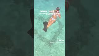 Had the best day snorkeling in Papeete Tahiti with Tahiti by Boat🤿🇵🇫🐠🌺🐬🌴 ultimateworldcruise [upl. by Aneelas]