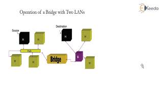 Network Software and Hardware Components [upl. by Olivie]