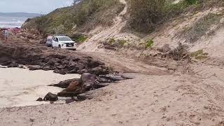 Ngkala Rocks Easy for Some Impossible for Others Fraser Island [upl. by Farrel554]