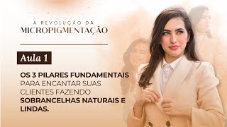 AULA 01  OS 3 PILARES PARA ENCANTAR SUAS CLIENTES COM SOBRANCELHAS NATURAIS [upl. by Sadinoel941]