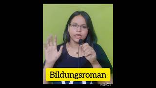 bildungsroman meaning and example englisliterature terminologyshortvideo radhikatripathi5396 [upl. by Januarius]