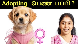 Female Dogs  Are they better pets Street Dogs in Tamil [upl. by Grannia]