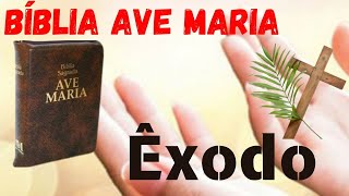 Bíblia Ave Maria 🌿 Êxodo 36 🌿Milagres e Libertação ✨ [upl. by Yanej446]