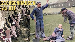 The Sachsenhausen Salute  WWIIs Most BRUTAL Torture Method [upl. by Tamra]