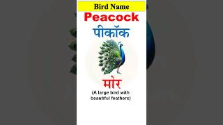 PEACOCK  मोर का अंग्रेजी  Pronunciation and Hindi meaning of Peacock  English words  shorts [upl. by Eilis]