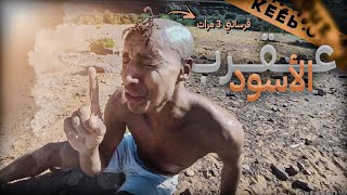 🚨جربت لقرسة ديال عقرب سوداء🦂قرستني 3 مرات فيدي🥵وأكلتها😋 في وسط صحراء🏜️ [upl. by Myrna78]