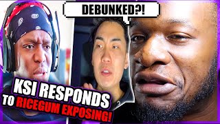 KSI RESPONDS TO RICEGUM  Responding to Ricegum REACTION [upl. by Gnuhn270]