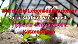 Wie du die Lebensdauer deiner Katze verlängern kannst  Tipps für eine gesunde Katzenpflege [upl. by Daveta]