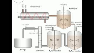 Process of Fermentation [upl. by Macpherson]