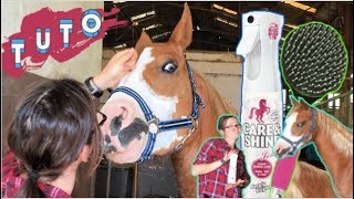 TUTORIEL DEMELER ET BROSSER LA CRINIERE DE SON CHEVAL [upl. by Anavlys]