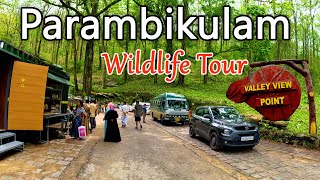 பரம்பிக்குளம் வனவிலங்கு சரணாலயம் சுற்றுலா  Parambikulam Wildlife Tourism I gptamil vlogz [upl. by Izawa]