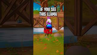 If You See This Llama BOX UP IMMEDIATELY [upl. by Alihet540]