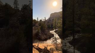 The Virgin River Zion National Park 🏜️🇺🇸 hiking utah travel nature [upl. by Maurili656]