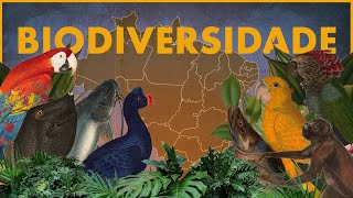 A biodiversidade é importante [upl. by Neelasor305]