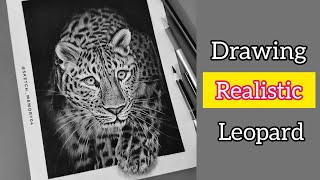 How to draw realistic leopard  Realistic Leopard Drawing 3D  howtodraw leopard [upl. by Auliffe380]