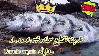 طريقة تقطيع دوراد روايال dorade royale [upl. by Harbot]