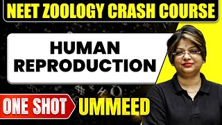 HUMAN REPRODUCTION in 1 Shot All Concepts Tricks amp PYQs  NEET Crash Course  Ummeed [upl. by Amara860]