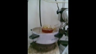 isolation of hesperidin from orange peel [upl. by Dionis]