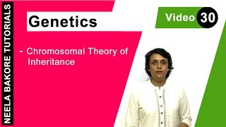 Genetics  Principles of Inheritance amp Variations  NEET  Chromosomal Theory of Inheritance [upl. by Thomey]