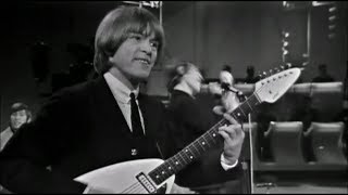 The Rolling Stones Live on the TAMI Show 1964 Brian Jones Plays His VOX Teardrop Guitar [upl. by Neyut]