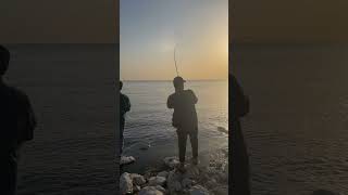 Al khobar corniche fishing [upl. by Sprage884]