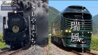 【偶然❗️】「SLやまぐち号」トワイライトエクスプレス瑞風山口線を走る！D51200 slやまぐち号 トワイライトエクスプレス瑞風 鉄道 [upl. by Jezabelle813]