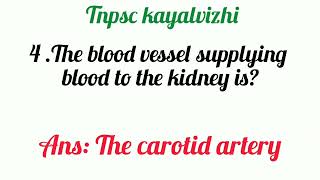 Tnpsckayalvizhi comment your answer🤗 group 4 and group2 questions important question in human body [upl. by Kinch397]