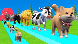 Paint amp Animals CowGorrilaElephantSheepDeerTiger Fountain Crossing Transformation Cartoon [upl. by Kurtis]