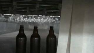 bodebrowncombr  tunel de pasteurizcao para cervejaria pasteurizar cervejas [upl. by Arnaldo570]