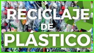 ♻️ RECICLAJE de PLÁSTICO en la ECONOMÍA CIRCULAR Una Oportunidad en Crecimiento 🚀 [upl. by Ludewig28]