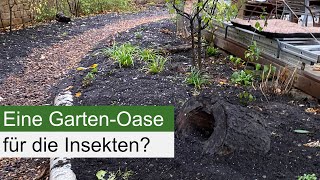 Ein neuer Naturgarten entsteht unter altem Strauch und Baumbestand [upl. by Hoy]