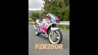 FZR250R [upl. by Darcia856]