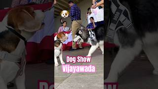 DOG SHOW IN VIJAYAWADA 😍 dogshow song [upl. by Viddah923]