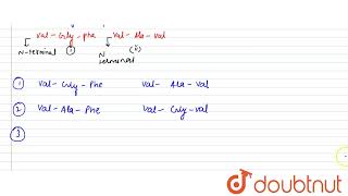 A hexapeptide has the composition AlaGlyPheVal Both the N terminal and C teminal units are [upl. by Noland]