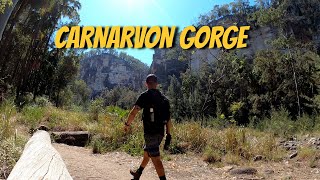 Exploring Carnarvon Gorge  The Ultimate Hiking destination in QLD [upl. by Ueihtam]