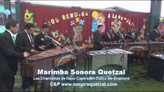 Marimba Sonora Quetzal  Las Chancletas de Nayo CaperoEn Cuilco Me Enamoré [upl. by Menken]