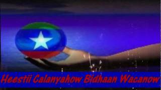 HEES WADANI CALANYAHOW BIDHAAN WACANOW PATROOL IYO HIBAAQ 2012 [upl. by Karie297]