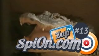 Le Zap de Spi0n TV 13 [upl. by Clarissa376]