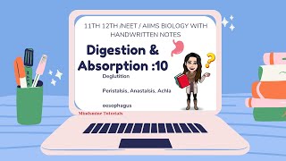 Pt10 Deglutition Peristalsis  Anastalsis amp Achlasia oesophagus neet 12th class [upl. by Thessa]