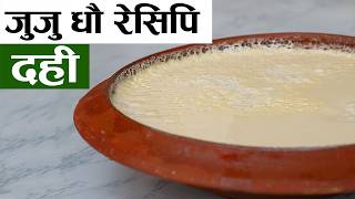 Homemade Curd Recipe  जुजु धाै  दही  JUJU Dhau Nepali [upl. by Eadnus]